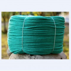 国产 聚雅轩 TSDF 尼龙绳子耐磨晾衣晒被绳绿色聚乙烯塑料绳 10mm 100米[单位：捆] 绿色