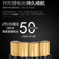 立奇 强力无线家用吸尘器车载手持 BH-VC601