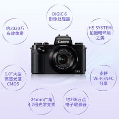 佳能/Canon  高清数码相机 PowerShot G5 X
