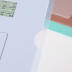 齐心  L型文件夹 A4单片夹 透明单页夹 二页文件套E310 10个装