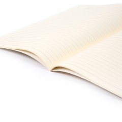 晨光 缝线本A5/16K 笔记本记事本复古相机系列APYFGA93