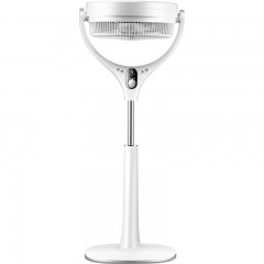 先锋 电风扇落地遥控蒲扇 DL1706