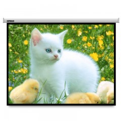 IN&VI/英微 投影仪幕布4:3高清玻纤电动幕布带遥控 BQD