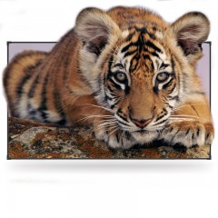 IN&VI/英微 HZ窄边16:9高清高亮抗光画框幕布家用办公投影幕