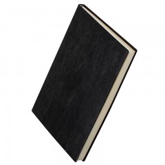 得力 笔记本文具皮面商务记事本16K大号本子A4加厚A5