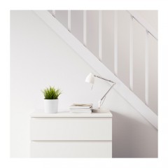 菲卡 人造盆栽植物, 草  人造盆栽 草