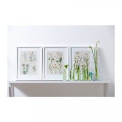 特立林 画，3件套, 野花