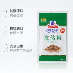 味好美 孜然粉10g  西餐调味料  配料佐料  香料烧烤