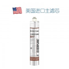 爱惠浦     净水器滤芯净水器直饮主滤芯配件通用主滤芯 BH2