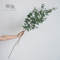 国产 仿真绿植物金钱叶枝 搭配花草清新装饰手感插花套装摆设