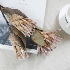 国产 南非进口干花高档插花花束搭配软装装饰花帝王花公主花