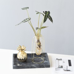 国产 北欧风格现代简约水培玻璃试管水培花瓶鲜花花插软装饰品摆件