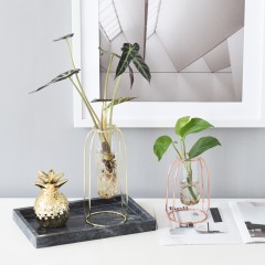 国产 北欧风格现代简约水培玻璃试管水培花瓶鲜花花插软装饰品摆件