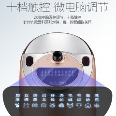 美菱 挂烫机家用烫衣服蒸汽熨斗小型双杆 MG-93A