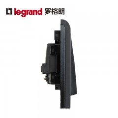 TCL罗格朗黑色双开双控带LED指示灯2开二位双控开关面板86型家用