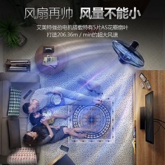 艾美特 电风扇机械式落地扇 FSW65T2-5