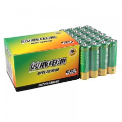 双鹿 碱性5号电池24节