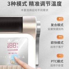 艾美特 取暖器家用电暖器欧式快热炉暖气电热遥控快热 HC30156R