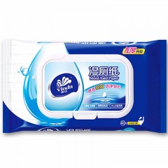 维达 卫生湿巾湿纸巾40片/包*4包整箱家庭套装洁厕纸