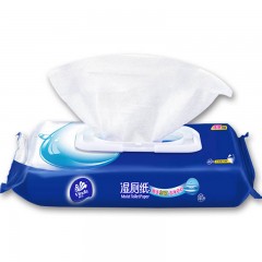 维达 卫生湿巾湿纸巾40片/包*4包整箱家庭套装洁厕纸