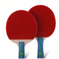 双鱼 2A二星乒乓球拍双拍初学者2只装ppq乒乓球拍七层底板直拍横拍