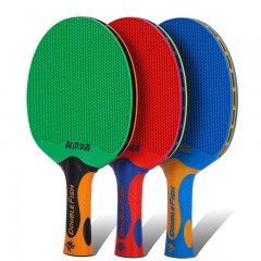 双鱼 乒乓球拍单拍1只橡塑一体拍初学者学生乒乓球单拍横拍乒乓板