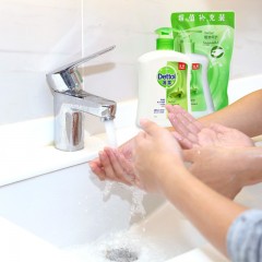 滴露 洗手液 健康抑菌植物呵护500g+300g 含芦荟精华