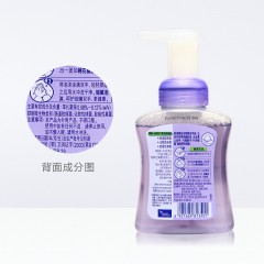 滴露 泡沫洗手液 兰花香沁250ml瓶装 旋转泵头设计