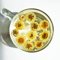 艺福堂 胎菊王新工艺 菊博士胎菊 正宗桐乡杭白菊花茶 茶叶花草茶