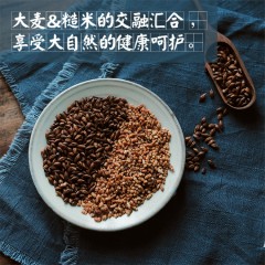 艺福堂 大麦茶 原味烘焙浓香型麦茶散装袋泡茶可搭苦荞茶荞麦茶