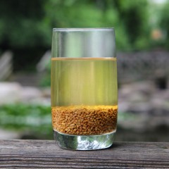 明芽 苦荞茶 黑苦荞茶 荞麦茶 苦芥 四川凉山 黄苦荞 全株茶