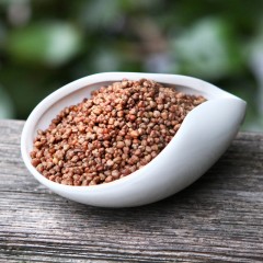 明芽 苦荞茶 黑苦荞珍珠茶 全胚芽茶 苦荞胚芽茶 苦乔茶 四川凉山