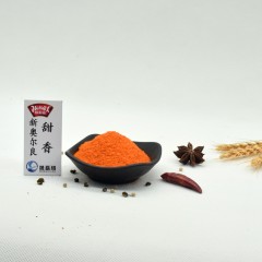 极美滋 甜香味70g 新奥尔良烤鸡翅腌料 奥尔良烤鸡翅调料 烧烤料