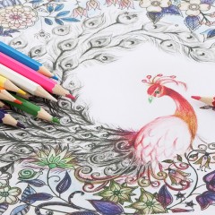 齐心 彩色铅笔 12色24色36色桶装 学生儿童手绘画铅笔