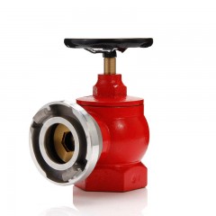 沱雨 减压型室内消防栓消火栓箱配件2.5寸水带接口 SNJ65