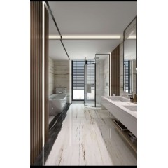 诺贝尔 瓷砖木化石系列 慕白 600*1200 XY618001