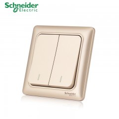 施耐德 电气 二开二位双联单控 墙壁电源开关插座面板10A 睿意金