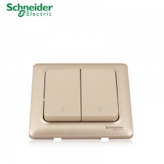 施耐德 电气 二开二位双联单控 墙壁电源开关插座面板10A 睿意金