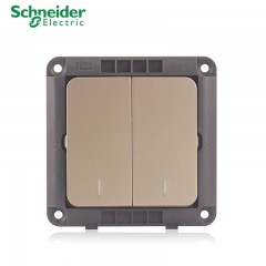 施耐德 电气 二开二位双联单控 墙壁电源开关插座面板10A 睿意金