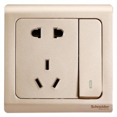 施耐德 电气带开关二三插一开双控五孔电源插座面板10A 轻逸格调金