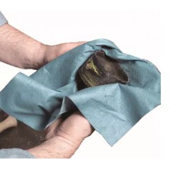 NewPig/纽匹格 WIP304 抹布高强度场合抹布WIP304 吸油纸500片