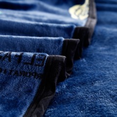 国产 空调毯珊瑚绒毯子加厚冬季法兰绒毛毯床单毛