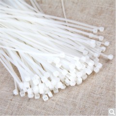 山泽 3.6*200mm ZD-14专业自锁式尼龙扎带  透明扎带