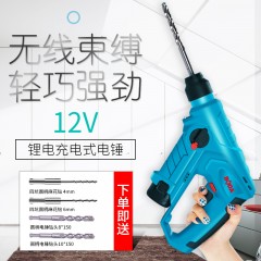博大 充电小锂电锤电钻家用多功能无线锂电轻锤冲击钻打混凝土装修 H1201-10