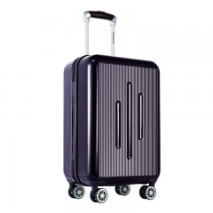 Diplomat/外交官  时尚休闲商务拉杆箱紫色 20英寸 DS-13001