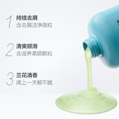 飘柔 洗发水/露兰花护理长效清爽控油去屑750ml男女士通用