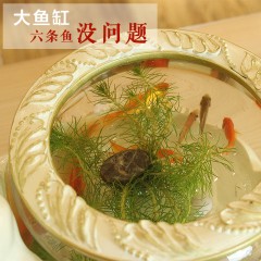 国产  鱼缸摆件客厅家居装饰品电视柜乔迁新居礼品开业新婚结婚礼物实用