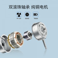 奥克斯  换气扇家用静音8寸 AUX-APC20-FA8