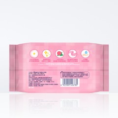舒洁  女性湿巾纸便携湿巾独立包装湿厕纸24片*2包*20月子会所专用