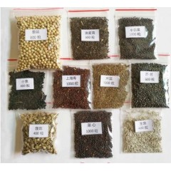 国产  10种蔬菜种子